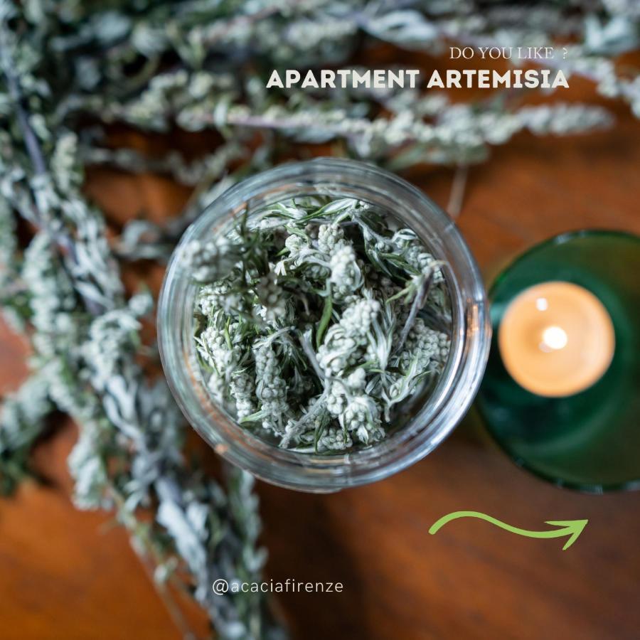 Acacia Firenze Apartments Artemisia-Angelica Kültér fotó