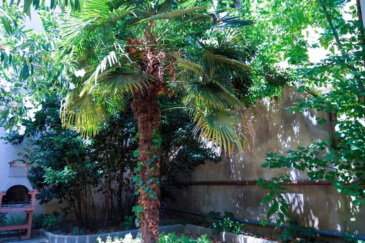 Acacia Firenze Apartments Artemisia-Angelica Kültér fotó